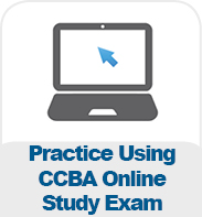 Practice Using CCBA Online Study Exam